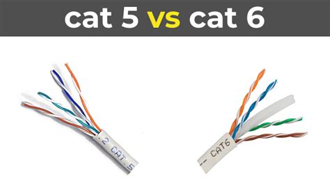 Cat5 vs Cat6: Which Ethernet Cable Do You Need?