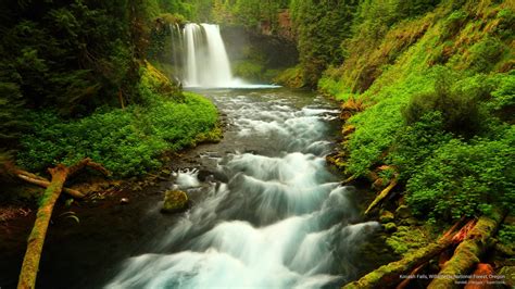 falls, national, Waterfalls, oregon, koosah, forest, 2K, willamette HD ...