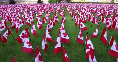 Toronto, Ontario, Canada November 2016 Thousands Of Canadian Flags On ...