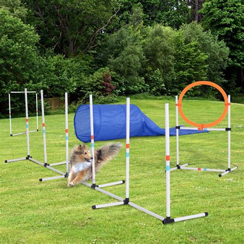 Pawhut 5 Piece Outdoor Game Dog Agility Training Equipment Set Agility ...