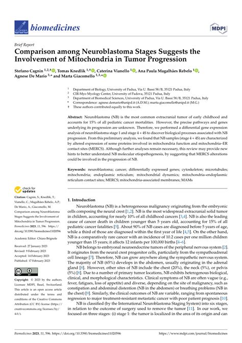 (PDF) Comparison among Neuroblastoma Stages Suggests the Involvement of ...