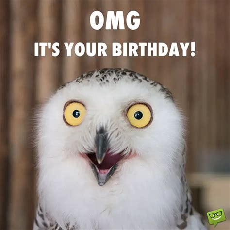 Funny Happy Birthday Images | Smile, it's your Birthday!