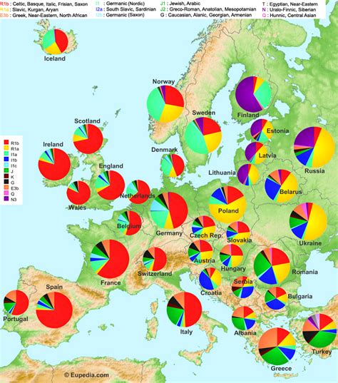 Dna Map Of Europe - Alvina Margalit