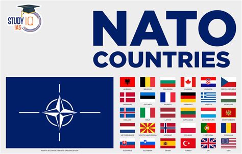 Whos Part Of Nato 2024 - Bibi Marita