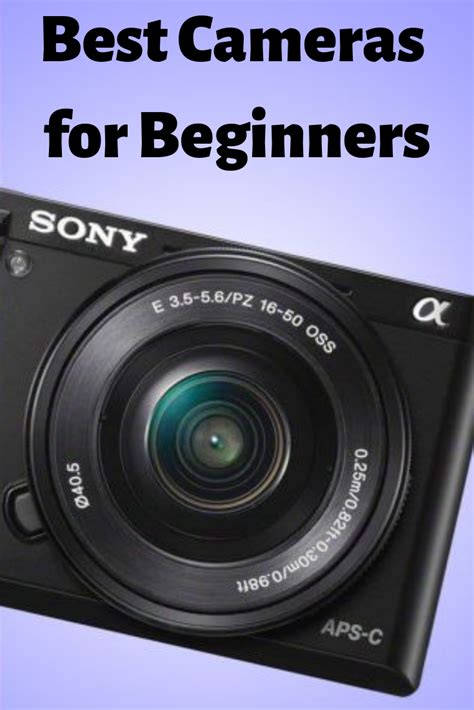 Zoom User Guide For Beginners – Yoiki Guide