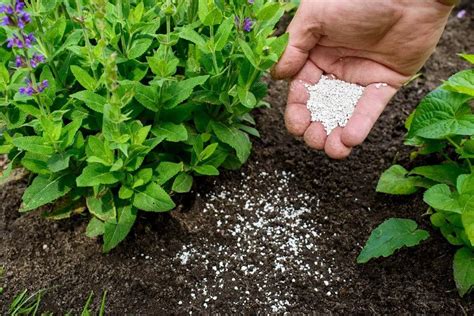 How To Store Fertilizer (Garden Fertilizer Storage Methods) - Gardenia ...