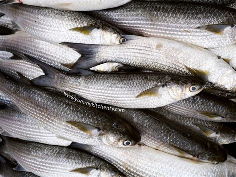 Bangus or Milkfish ? The National fish of the Philippines - Yummy Kitchen