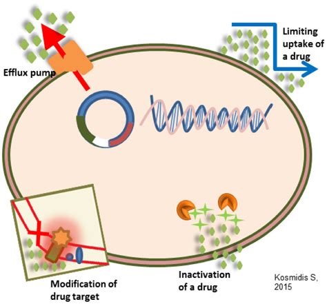 Außerdem Sympathie Moderator mechanism of resistance Versand ...