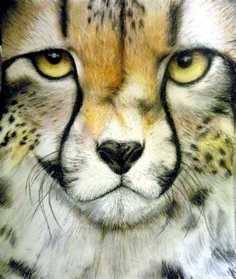 Simple: Realistic cheetah drawing