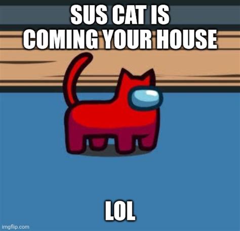 sus cat - Imgflip