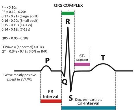 qrs complex ekg duration | Pr interval, Nurse study notes, Medical ...