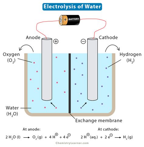 What Forms At The Cathode During Electrolysis