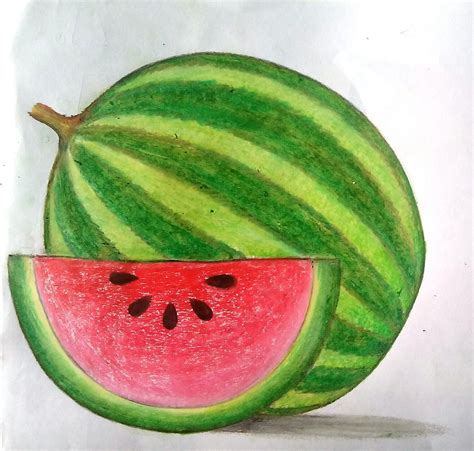 Watermelon Pictures Drawing - Watermelon Drawing At Getdrawings ...