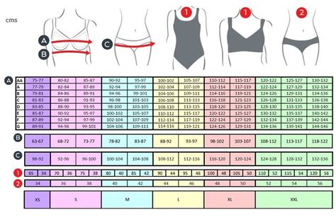 Fitting Guide - Lingerie & Swimwear - Amoena България