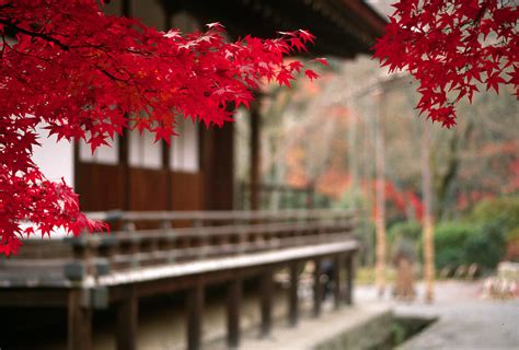 Free download Japan Wallpapers and Images Japanese Temple Scenery ...