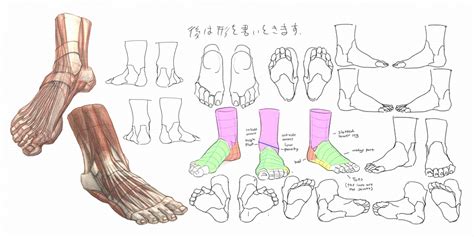 Character Anatomy | Feet