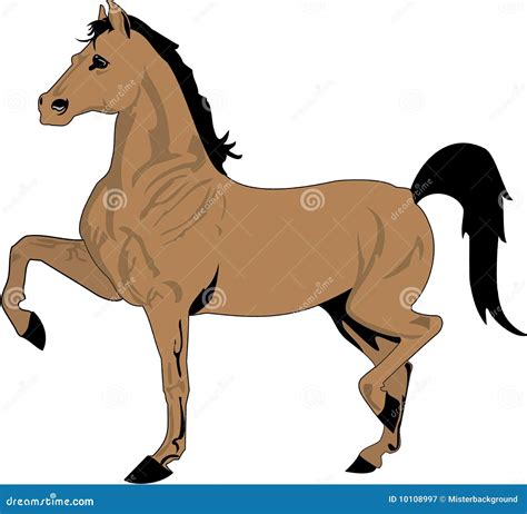 Beautiful Horse Drawing, Color Cartoon Vector | CartoonDealer.com #10108997