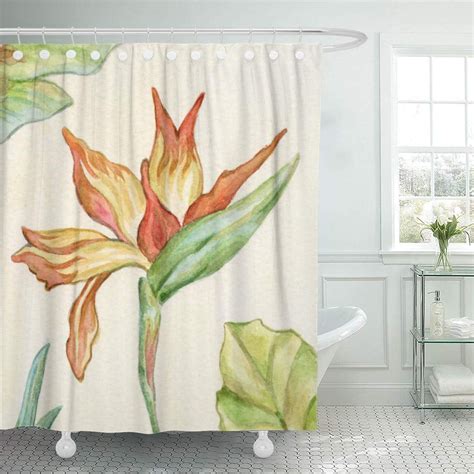 SUTTOM Tropical Bird of Paradise Hawaiian Shower Curtain 60x72 inch ...