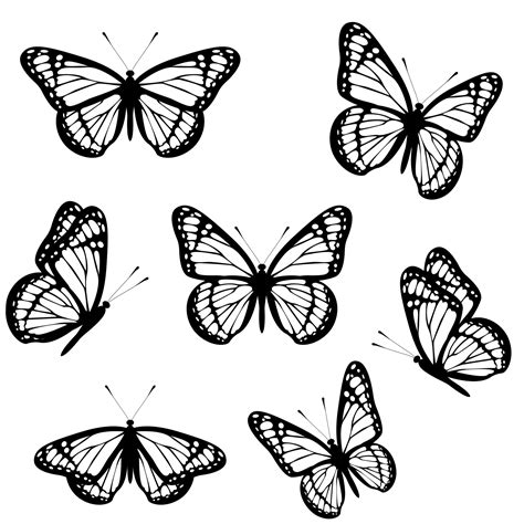 Set of black and white monarch butterflies isolated on white background ...