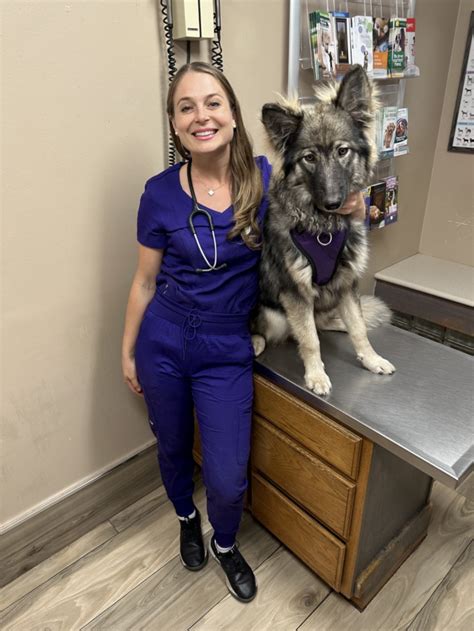 Vet Introduces 'Massive' Wolf-Hybrid Puppy Who Is Three Months and 35lbs