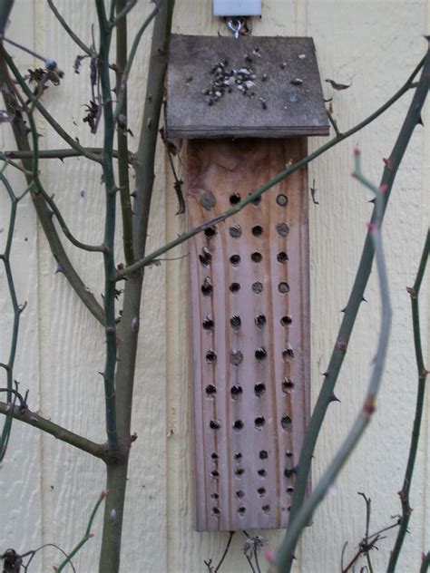 A Whole 'Nother Bee Blog: Mason Bee Houses