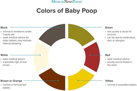 poop stool color changes color chart and meaning healthy concept stock ...