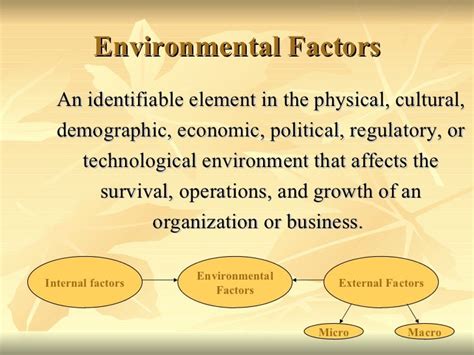 Environmental factors & business