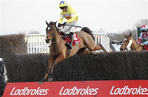 Sir Alex Ferguson's horse Hermes Allen suffers fatal fall at Sandown ...