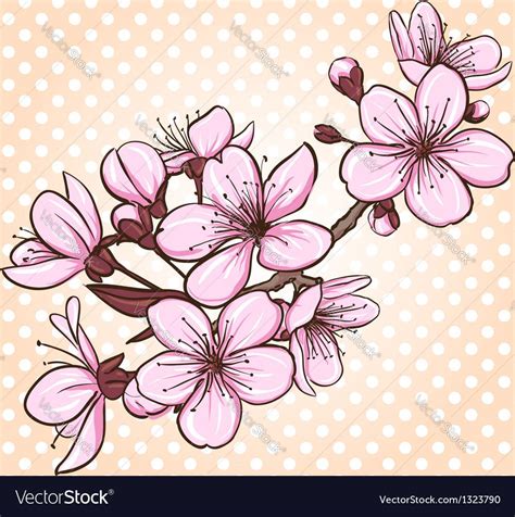 Cherry blossom. Decorative floral illustration of sakura flowers ...