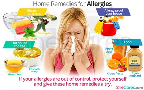 Are Home Remedies the Best Treatment for Allergies? | SheCares