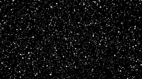 Download A Black And White Background With Snowflakes Falling ...