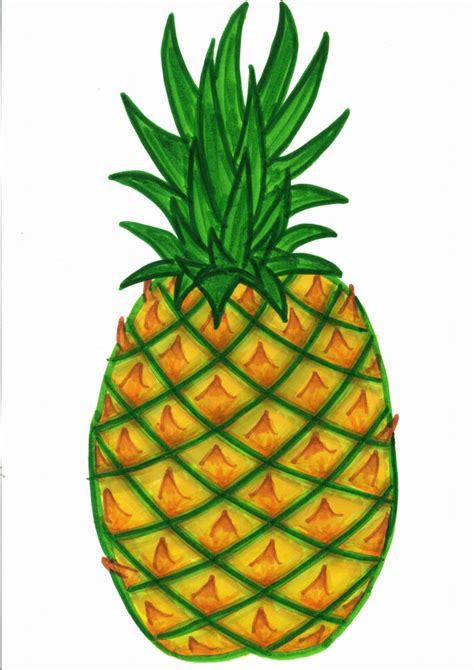 Pineapple Clip Art - ClipArt Best