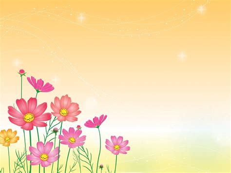 Free photo: Flower Background - Beautiful, Bloom, Colorful - Free ...