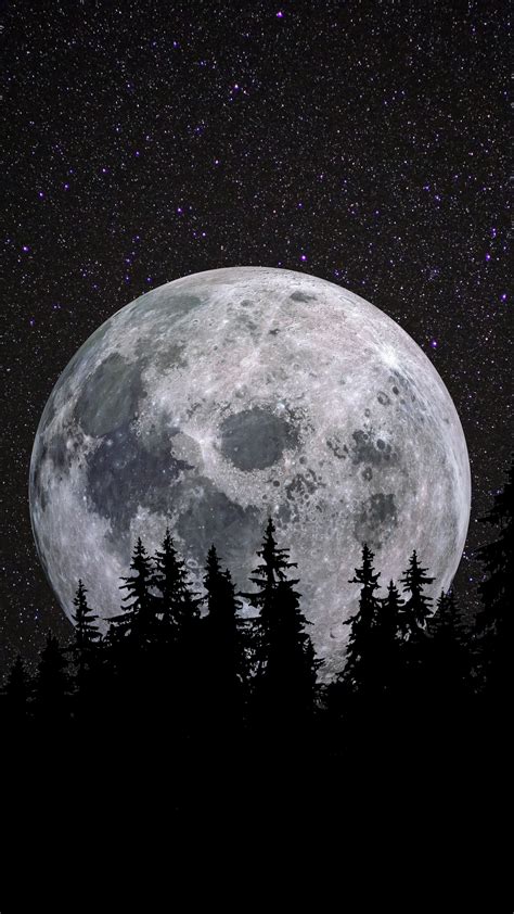 Full moon Wallpaper 4K, Forest, Night, Dark, Starry sky