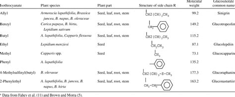 Isothiocyanate, origin, structure, molecular weight, and common name of ...