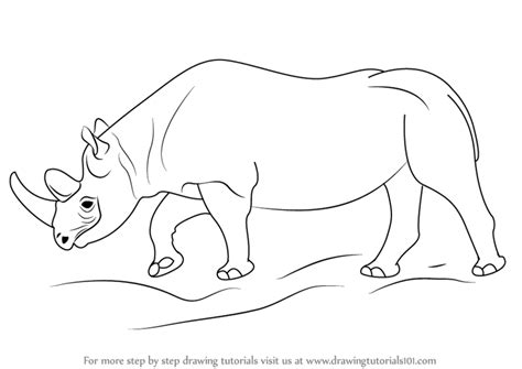 Rhino Outline Drawing at PaintingValley.com | Explore collection of ...