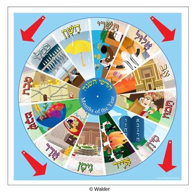 Months of the Year Wheel | Walder Education