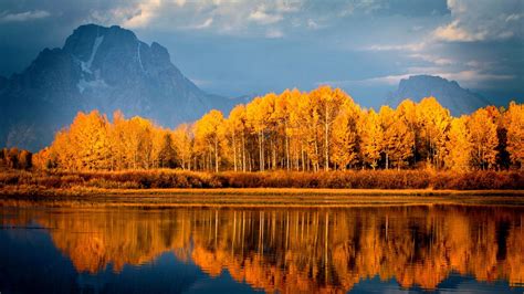 Autumn Trees On Lake Wallpaper,HD Nature Wallpapers,4k Wallpapers ...