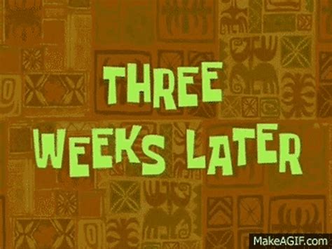 Spongebob Many Months Later GIF – Spongebob Many Months Later Three ...