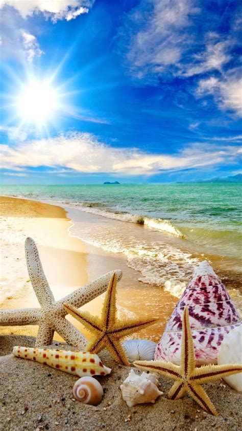 Summer Beach Sun Starfish Waves | Android Wallpapers | Summer beach ...