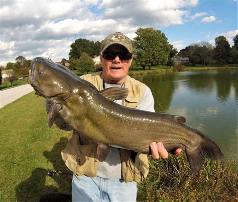 How to Catch Channel Catfish in Freshwater | FishTalk Magazine