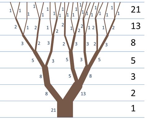 Fibonacci Trees | Tug Of Web