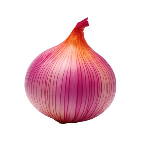 Onion Transparent Background, Fresh, Transparent, Vegetable PNG ...