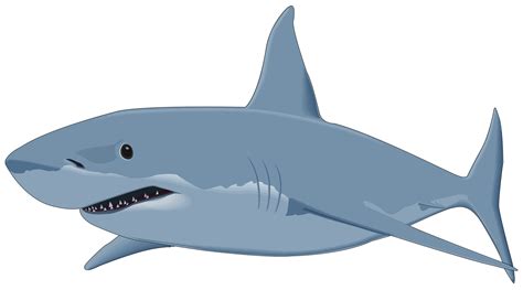 Shark Attack - Great Camp Games | Shark images, Animal png, Shark attack