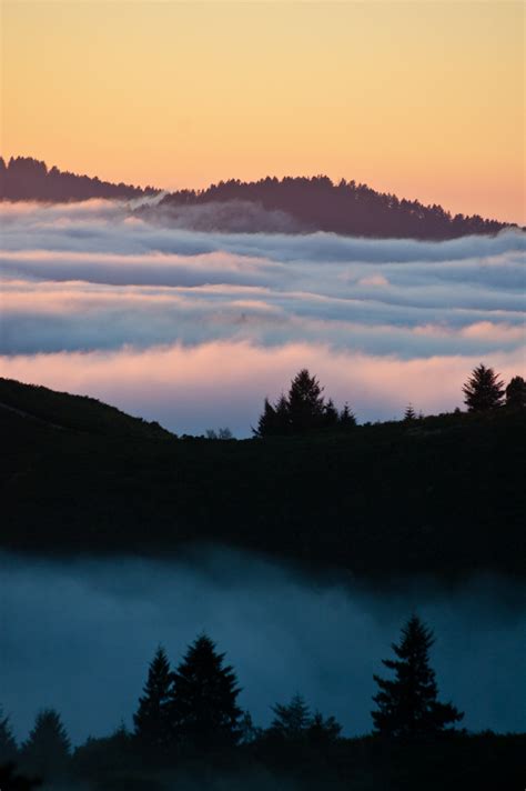 Santa Cruz Mountains, California, USA photo on Sunsurfer