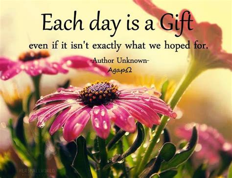 Each day is a gift even if it isn't exactly what we hoped for.