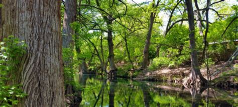 Wimberley Texas - Texas Hill Country