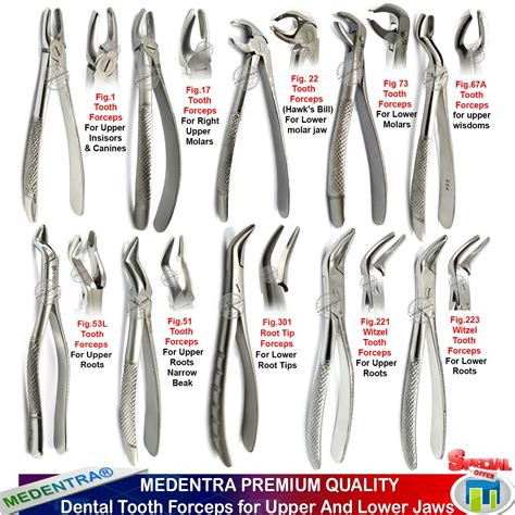 Dental Tooth Forceps Surgical Extraction Forceps for Upper Lower Molars ...