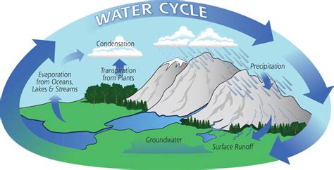 Hydrosphere Diagram | Quizlet