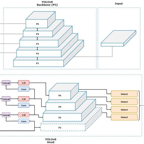 The improved YOLOv8 network architecture includes an additional module ...